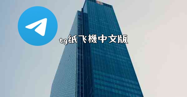tg纸飞機中文版