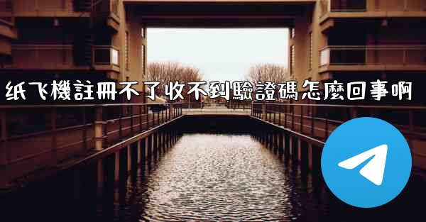 纸飞機註冊不了收不到驗證碼怎麼回事啊