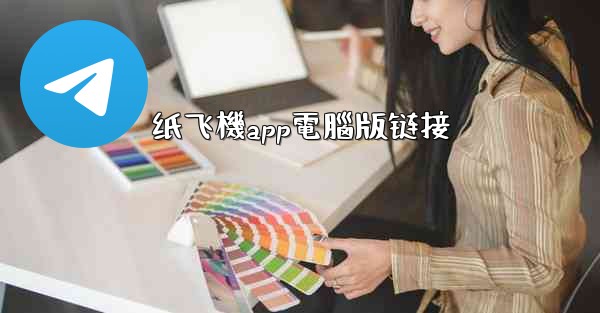 纸飞機app電腦版链接