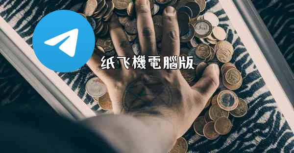 纸飞機電腦版
