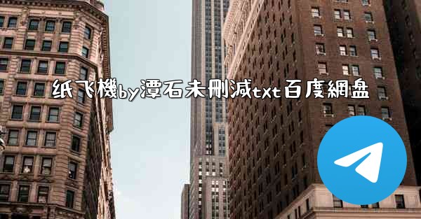 纸飞機by潭石未刪減txt百度網盘
