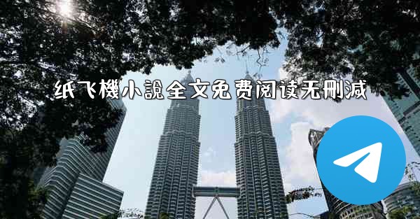 纸飞機小說全文免费阅读无刪減