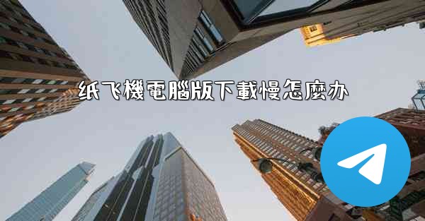 纸飞機電腦版下載慢怎麼办