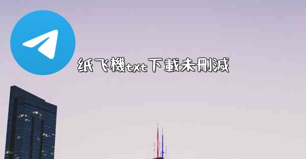 纸飞機txt下載未刪減