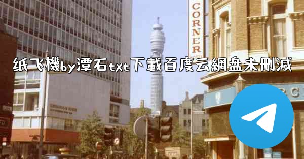 纸飞機by潭石txt下載百度云網盘未刪減