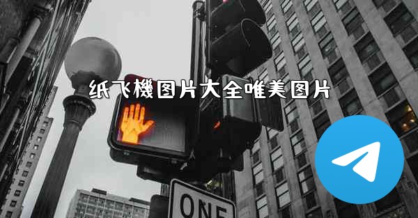 纸飞機图片大全唯美图片