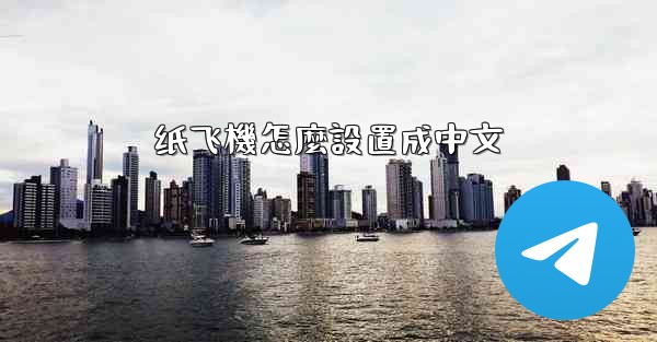 纸飞機怎麼設置成中文