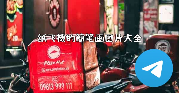 纸飞機的簡笔画图片大全