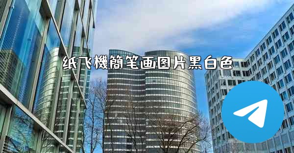 纸飞機簡笔画图片黑白色