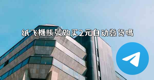 纸飞機賬號购买2元自动發货嗎