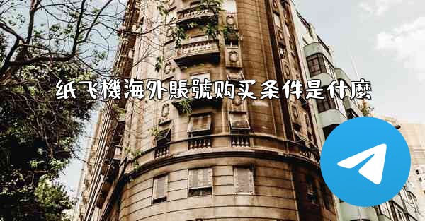 纸飞機海外賬號购买条件是什麼