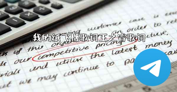 我的纸飞機歌词王之睿歌词