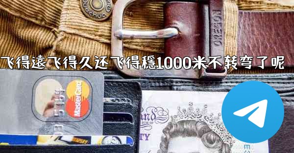 <b>纸飞機怎麼折飞得遠飞得久还飞得穩1000米不转弯了呢</b>