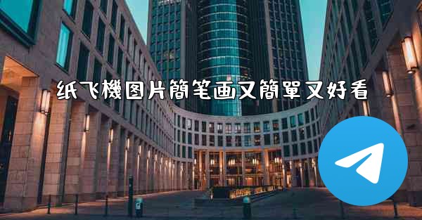 纸飞機图片簡笔画又簡單又好看