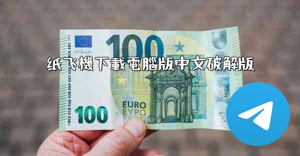 纸飞機下載電腦版中文破解版