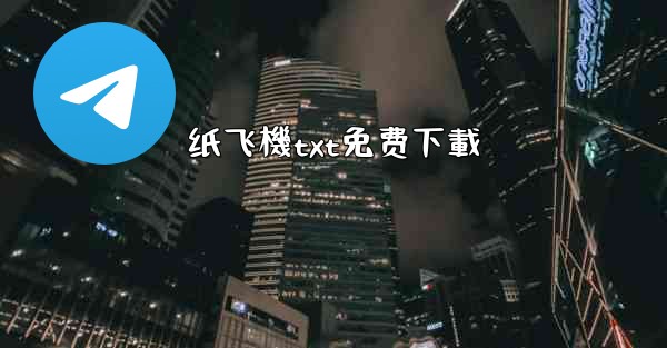 纸飞機txt免费下載