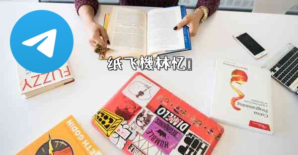 <b>纸飞機林忆莲</b>