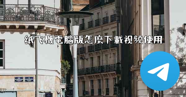 纸飞機電腦版怎麼下載视频使用