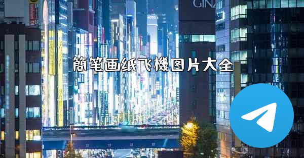 簡笔画纸飞機图片大全