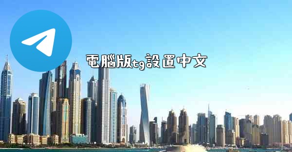 電腦版tg設置中文