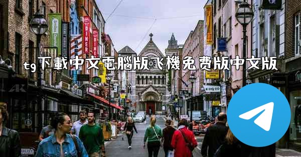 tg下載中文電腦版飞機免费版中文版