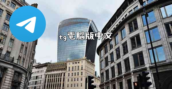 tg電腦版中文