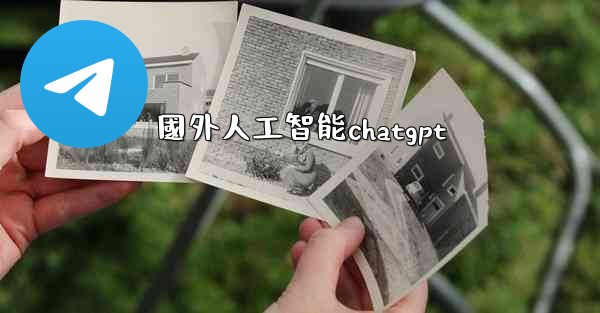 國外人工智能chatgpt