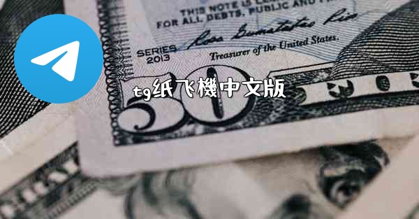 tg纸飞機中文版
