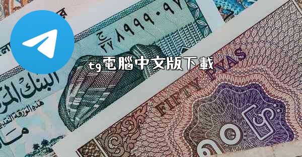 tg電腦中文版下載