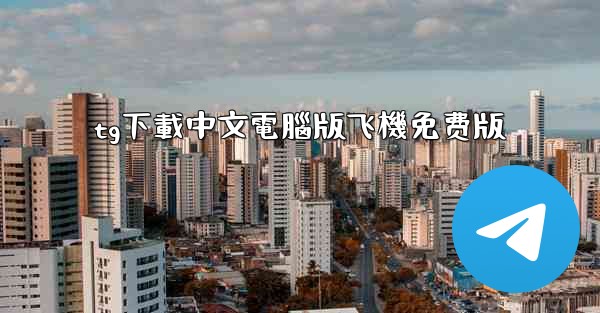 tg下載中文電腦版飞機免费版