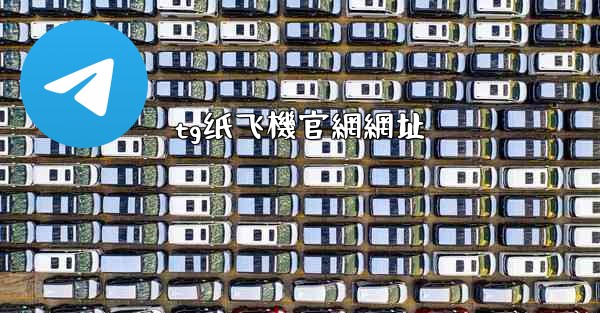 tg纸飞機官網網址