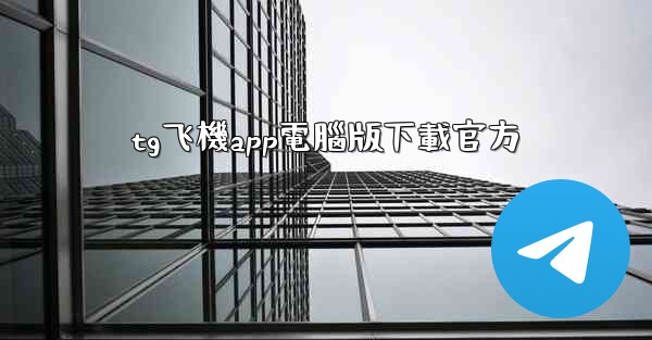 tg飞機app電腦版下載官方