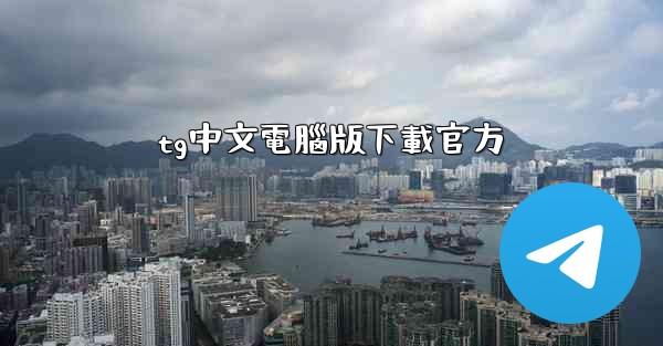 tg中文電腦版下載官方