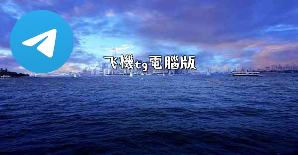 飞機tg電腦版