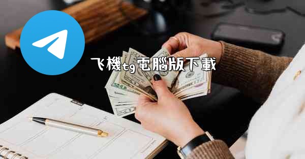 飞機tg電腦版下載