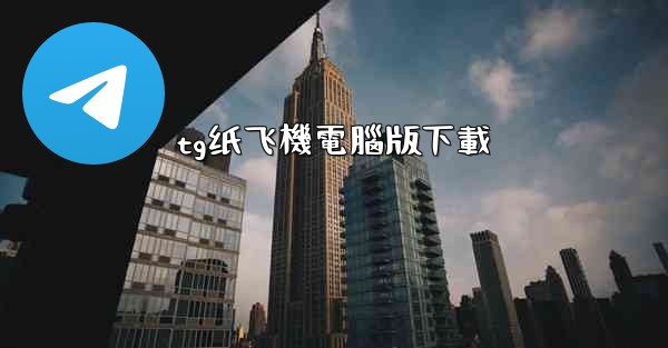 tg纸飞機電腦版下載