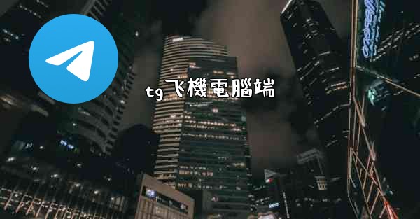 tg飞機電腦端