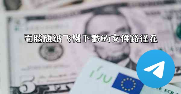 電腦版纸飞機下載的文件路径在