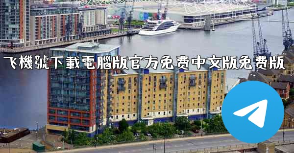 飞機號下載電腦版官方免费中文版免费版