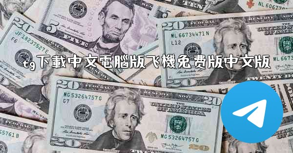 tg下載中文電腦版飞機免费版中文版