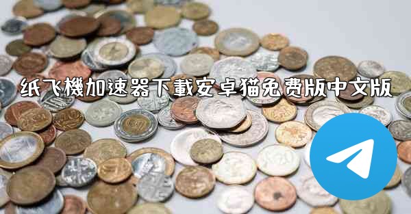 纸飞機加速器下載安卓猫免费版中文版