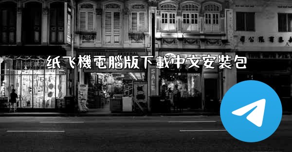 纸飞機電腦版下載中文安裝包