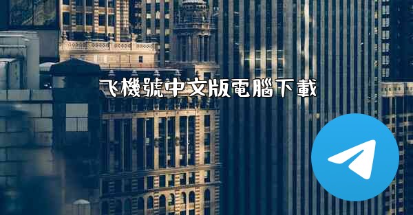 飞機號中文版電腦下載