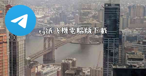 tg纸飞機電腦版下載