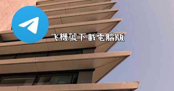 飞機號下載電腦版