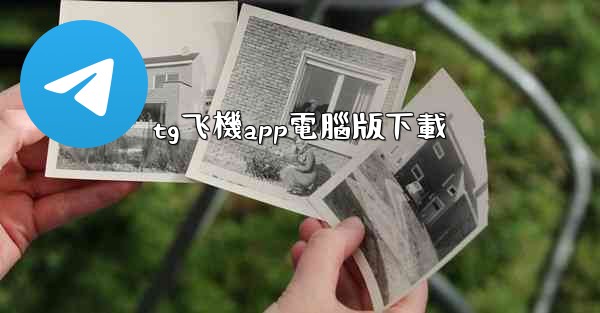 tg飞機app電腦版下載