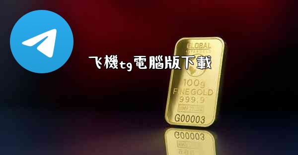 飞機tg電腦版下載