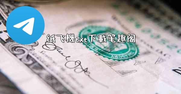 纸飞機txt下載笔趣阁