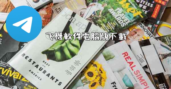 飞機軟件電腦版下載