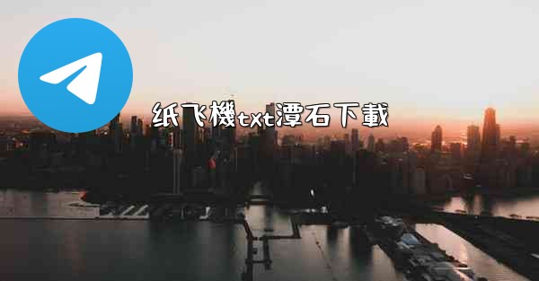 纸飞機txt潭石下載